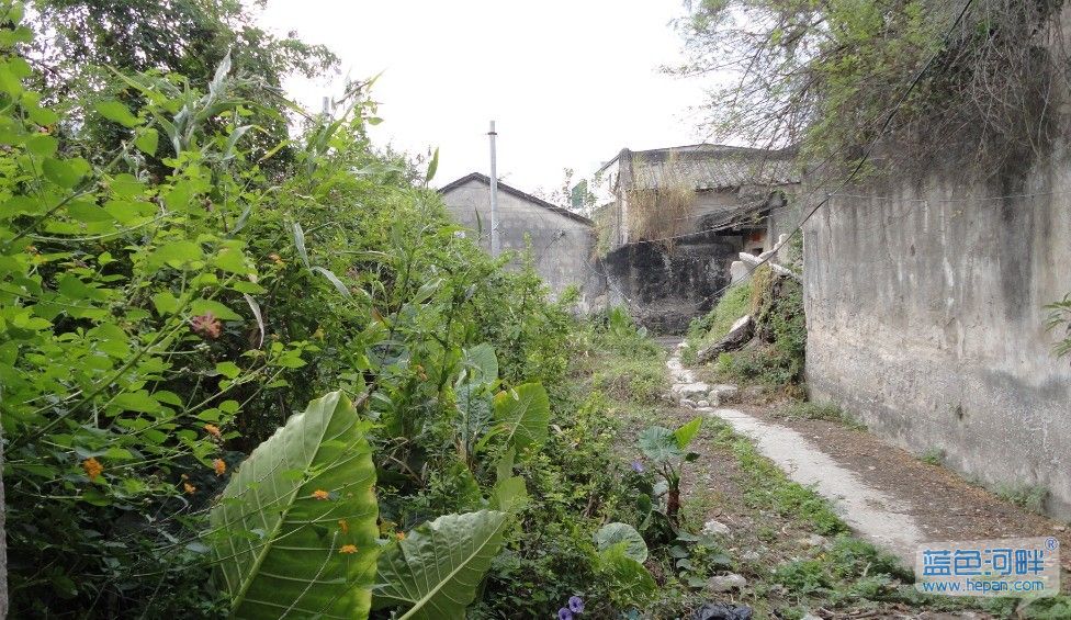 汕头龙湖区鸥汀街道龙美村"文明村"全貌1