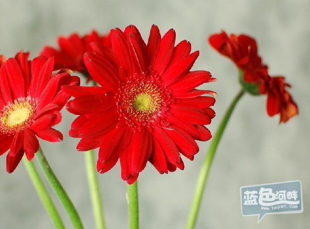 150707j76yl522odf23qbg.jpg