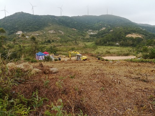 通过陇田镇有关人员于11月28日左右在华林村蟹地山毁坏林木10亩多地