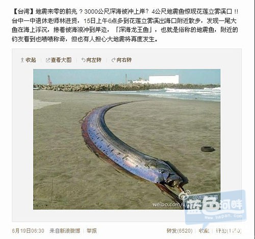 花莲立雾溪海口发现了一只深海龙王鱼地震要来了