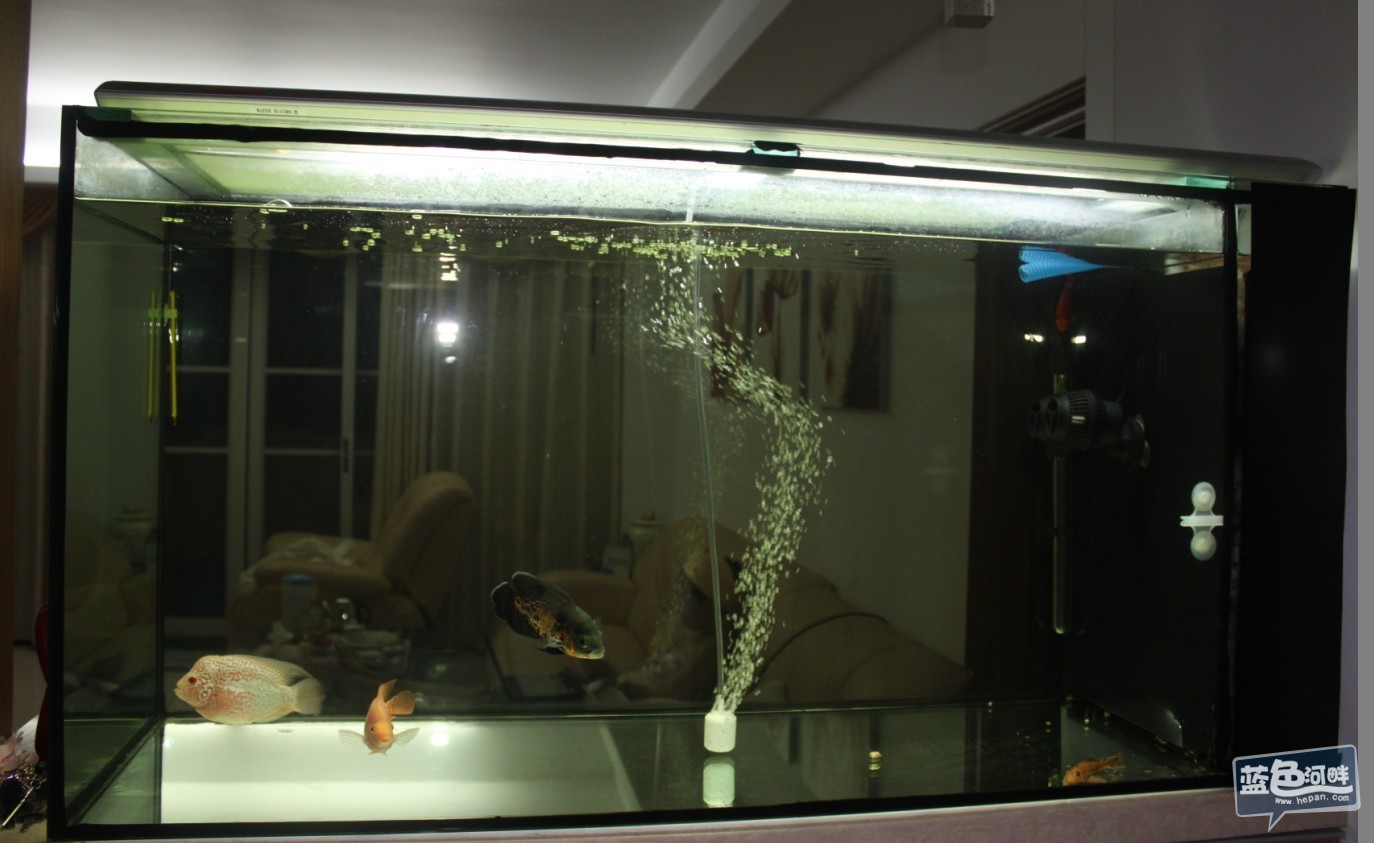 便宜卖鱼缸带过滤器材等